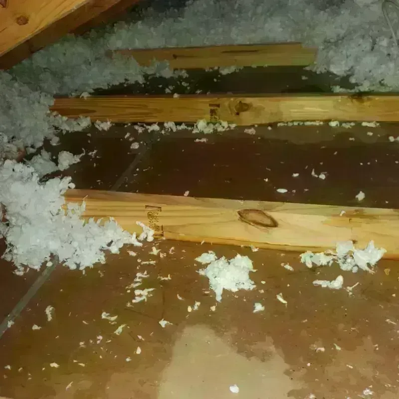 Attic Water Damage in Iberia Parish, LA